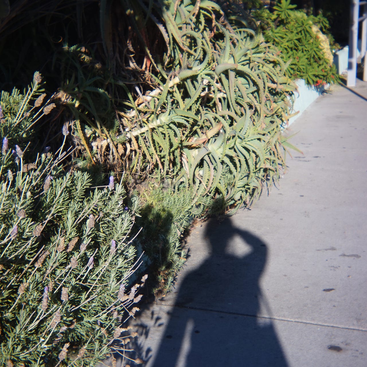 Melanie Living Magazine