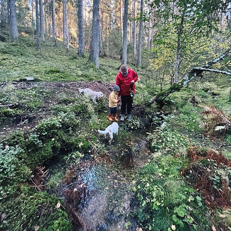dogs in forest sipoo