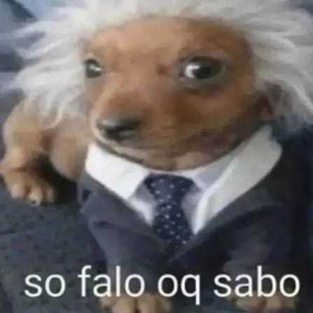 Estamos de volta e falando bastante 🗣️🗣️ Hoje saiu o primeiro episódio da  nova temporada do VIBES EM ANÁLISE — e a nossa conversa é sobre as  conversas em si, as complexas,