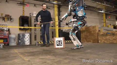 Researchers bully the most advanced humanoid robot ever -- for science