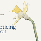 #17 Press Pause: The Noticing Question