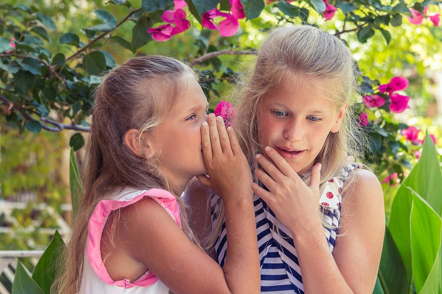 One girl whispering to another with flowers in the background One girl whispering to another with flowers in the background