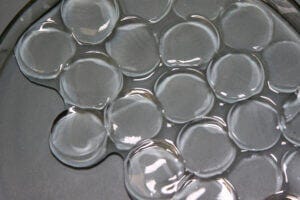 MIT engineers have synthesized a superabsorbent material that can soak up a record amount of moisture from the air, even in desert-like conditions. Pictured are the hydrogel discs swollen in water. Credits:Image: Gustav Graeber and Carlos D. Díaz-Marín