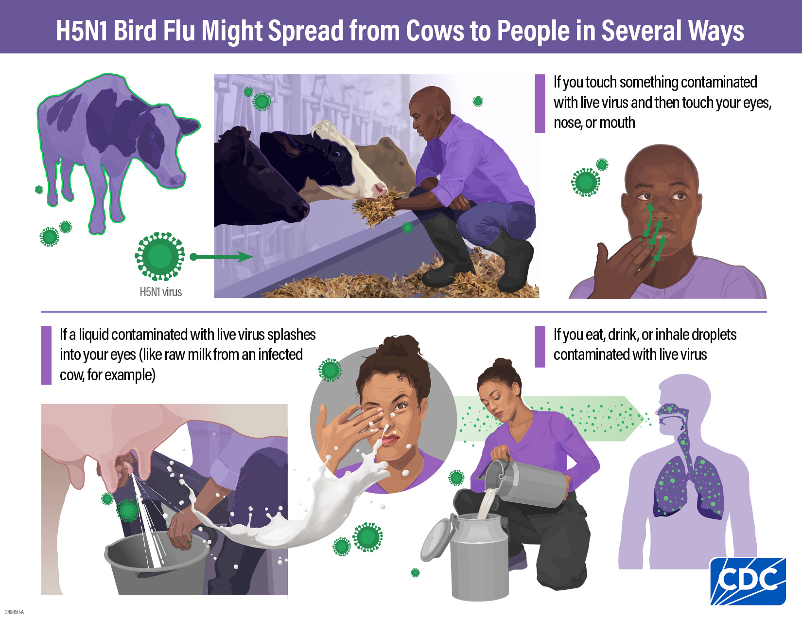 H5N1 During Influenza Season: A Primer for Clinicians Serving Dairy Workers