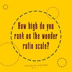 The Wonder@Work Assessment