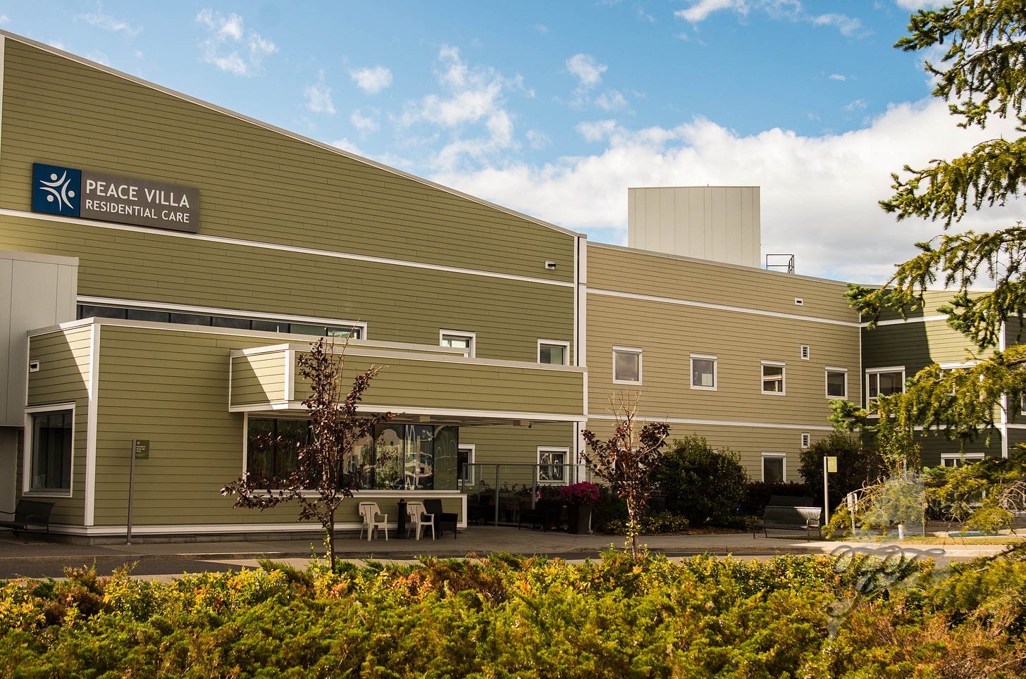 © Tania Finch All Rights Reserved