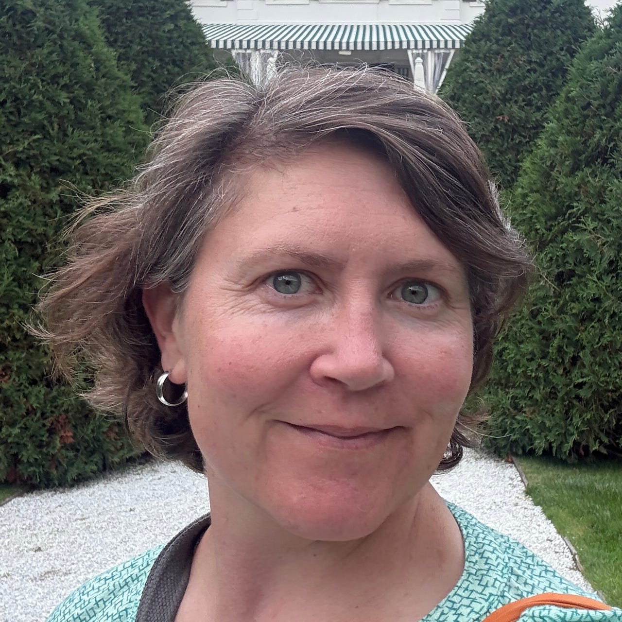 Diane V. Mulligan - Teacher, Novelist, Artist