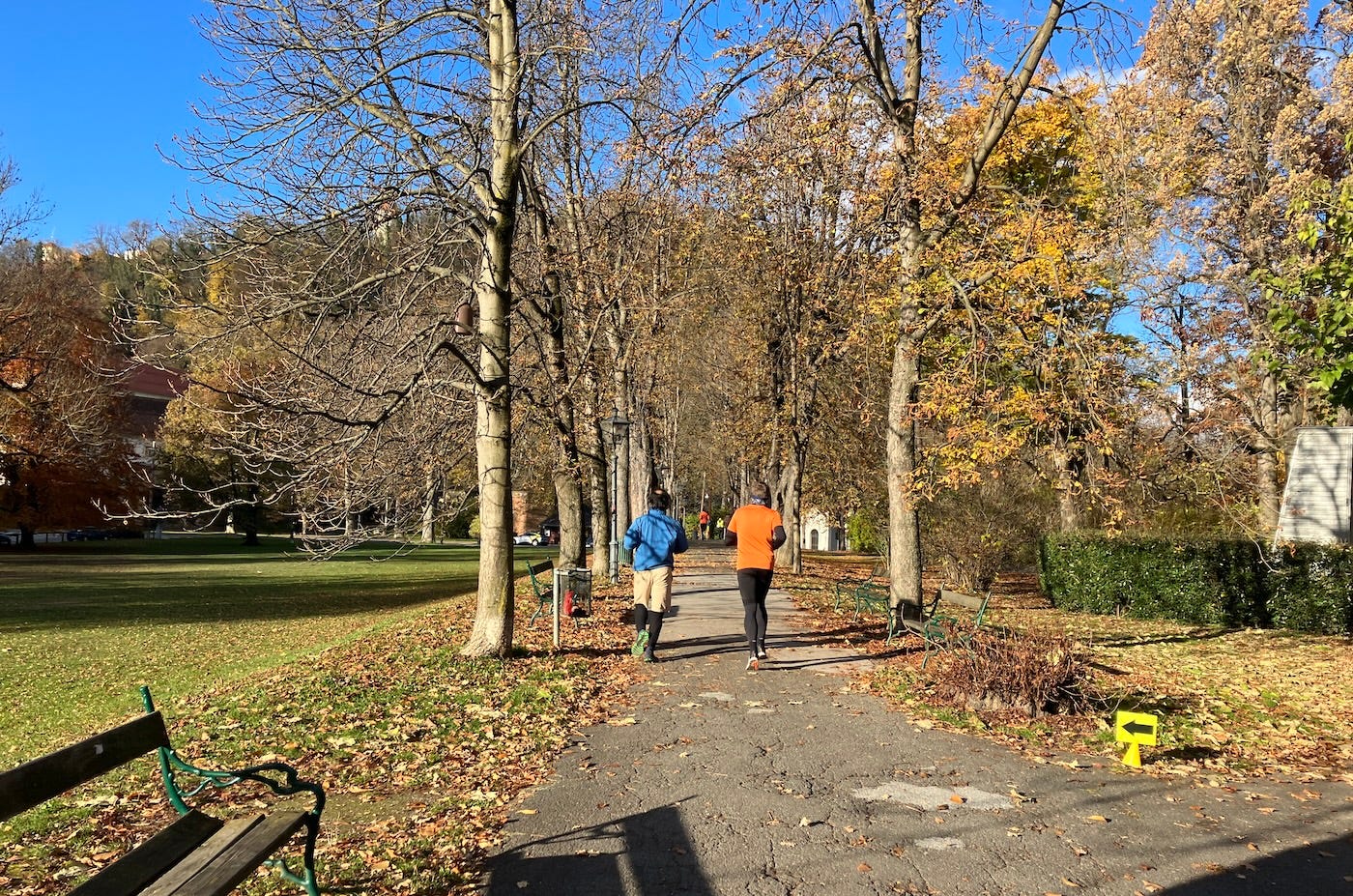 Two runners on a tarmac path between trees