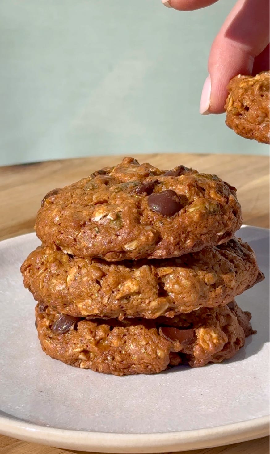 Snaking Cookies Snacking Cookies - the dish