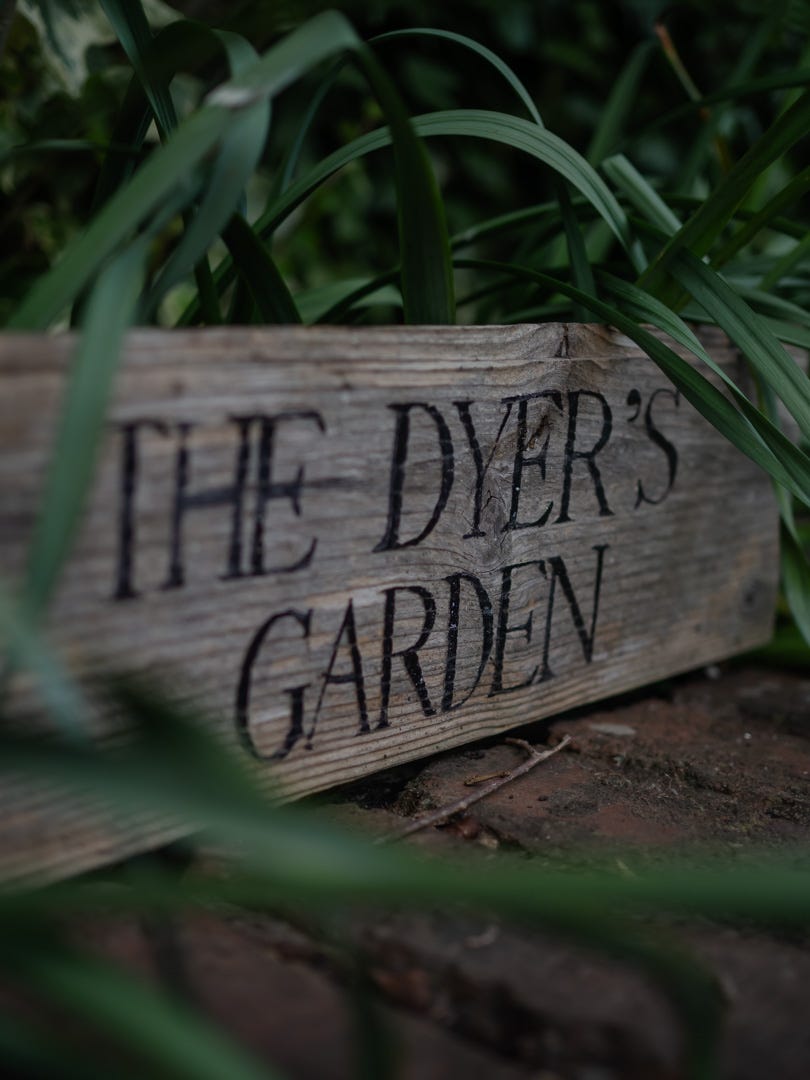 A weathered wooden sign reading ‘The Dyer’s Garden’, nestled among plants at the Erasmus Darwin Herb Garden in Lichfield.