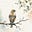 Quiet Finch's avatar