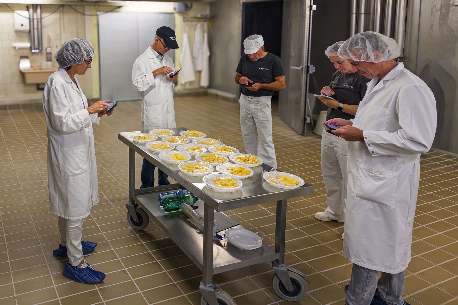 Die Forschungsgruppe in weissen Labormänteln und Hauben degustiert Käseproben in der Versuchskäserei von Agroscope. Auf einem Edelstahltisch liegen zahlreiche Schalen mit gleichmässig geschnittenen Käsewürfeln aus 16 verschiedenen Emmentaler-Dolce-Laiben, die nach unterschiedlichen Rezepturen hergestellt wurden. Die Wissenschaftler verkosten und notieren ihre Eindrücke auf einer eigenen Smartphone-App. Die Forschungsgruppe in weissen Labormänteln und Hauben degustiert Käseproben in der Versuchskäserei von Agroscope. Auf einem Edelstahltisch liegen zahlreiche Schalen mit gleichmässig geschnittenen Käsewürfeln aus 16 verschiedenen Emmentaler-Dolce-Laiben, die nach unterschiedlichen Rezepturen hergestellt wurden. Die Wissenschaftler verkosten und notieren ihre Eindrücke auf einer eigenen Smartphone-App.