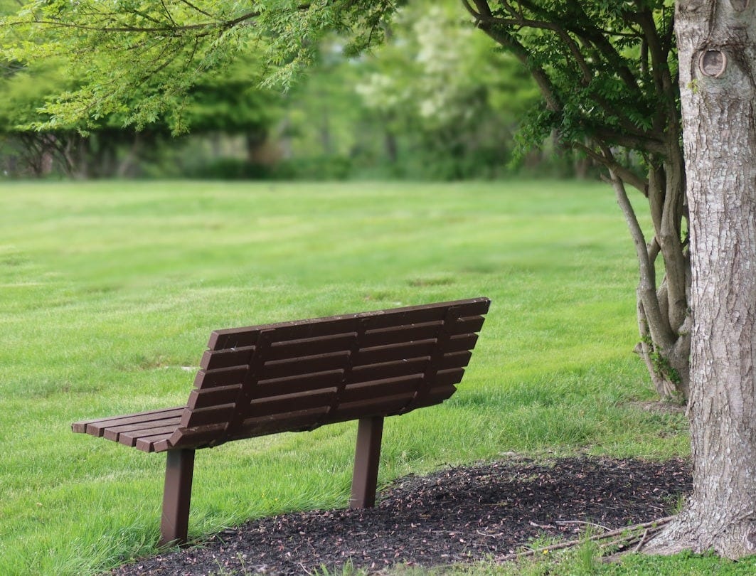 brown wooden bench on green grass field during daytime