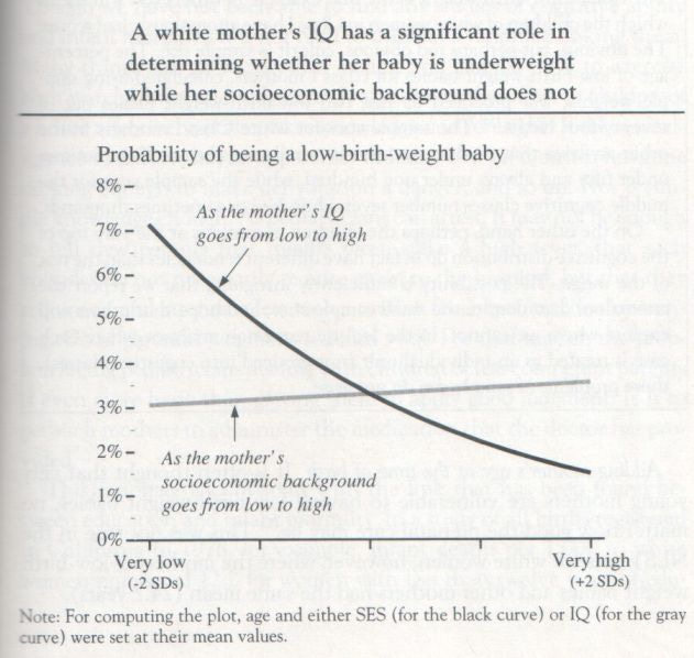 the-bell-curve-1994-herrnstein-and-murray-graph-p-215