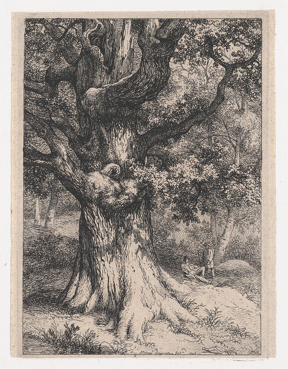 The Charlemagne, Oak Tree with an Eagle's Nest, Eugène Stanislas Alexandre Bléry (French, Fontainebleau 1805–1887 Paris), Etching; second state