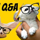 New Book: Berean Q&A - 750+ Questions on Faith & Life