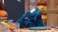 destroy sesame street GIF by Rachael Ray Show