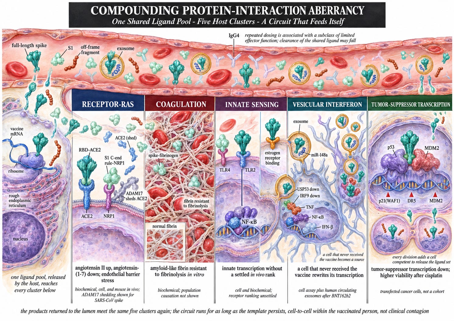 Receptor Technology BREAKING: New Paper Reveals How mRNA Vaccine Materials Could Spread ...