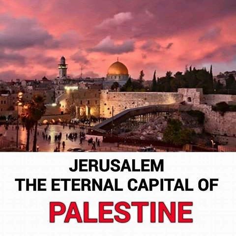 45214a10f84f9f19e284ffd772c0955e--capital-city-palestine.jpg