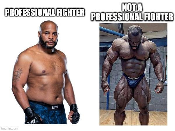 People can say they have the body of a professional fighter : r/memes