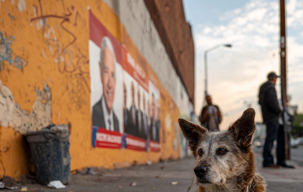 Dog rescuers hammer Democrat LA mayor for doing nothing to stop rampant dog abuse