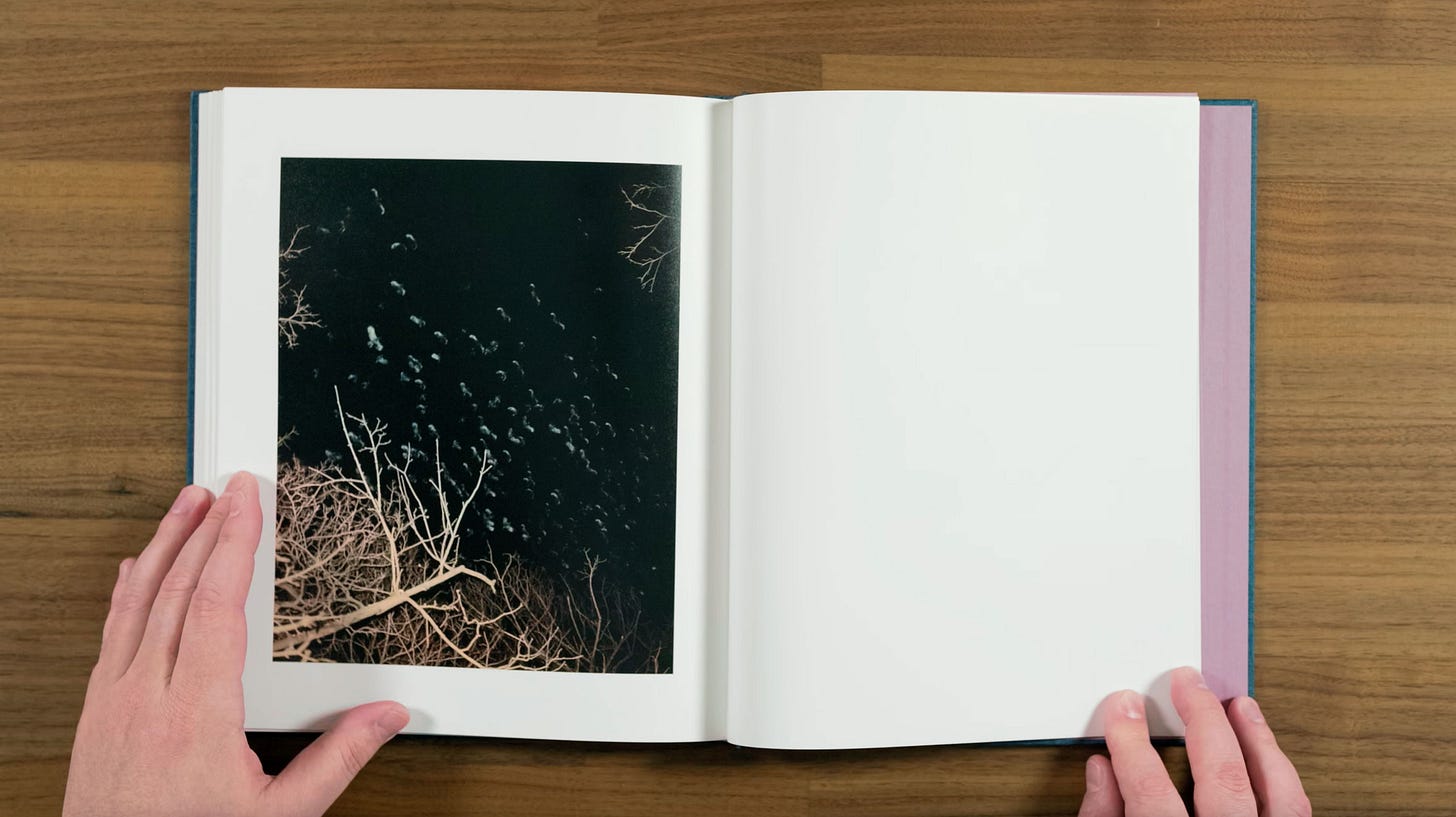 PHOTOBOOK REVIEW: Gregory Halpern - King, Queen, Knave
