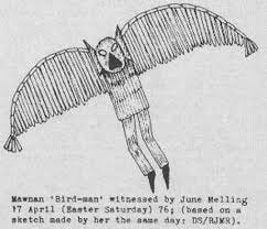 The Owlman of Mawnan Smith - The ...
