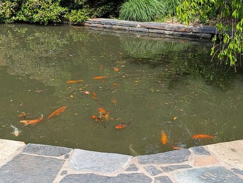 Sarah P Duke Gardens Duke University