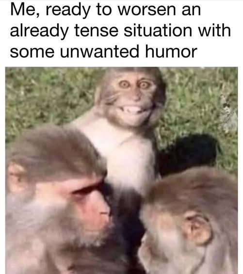 May be an image of 1 person and text that says 'Me, ready to worsen an already tense situation with some unwanted humor'
