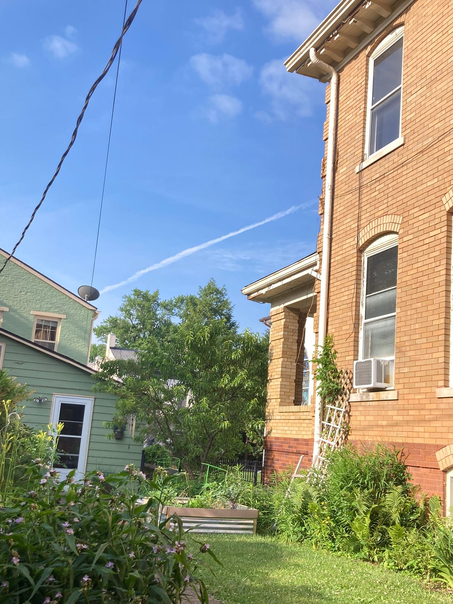 Robyn's backyard with trees and green grass and a lot of blue sky with a cloud contrail cutting across it
