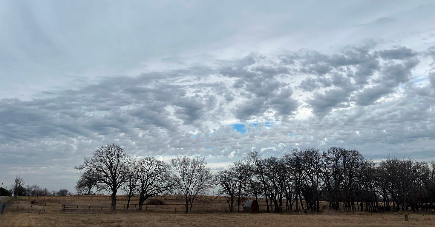 Above a dead winter treeline, spackled clouds reveal glimpses of clear sky beyond, while stratus like a blanket top even these. Above a dead winter treeline, spackled clouds reveal glimpses of clear sky beyond, while stratus like a blanket top even these.
