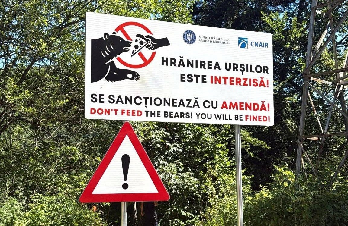 Motociclista italiano trascinato nel bosco e ucciso da un orso in Romania: cosa è successo