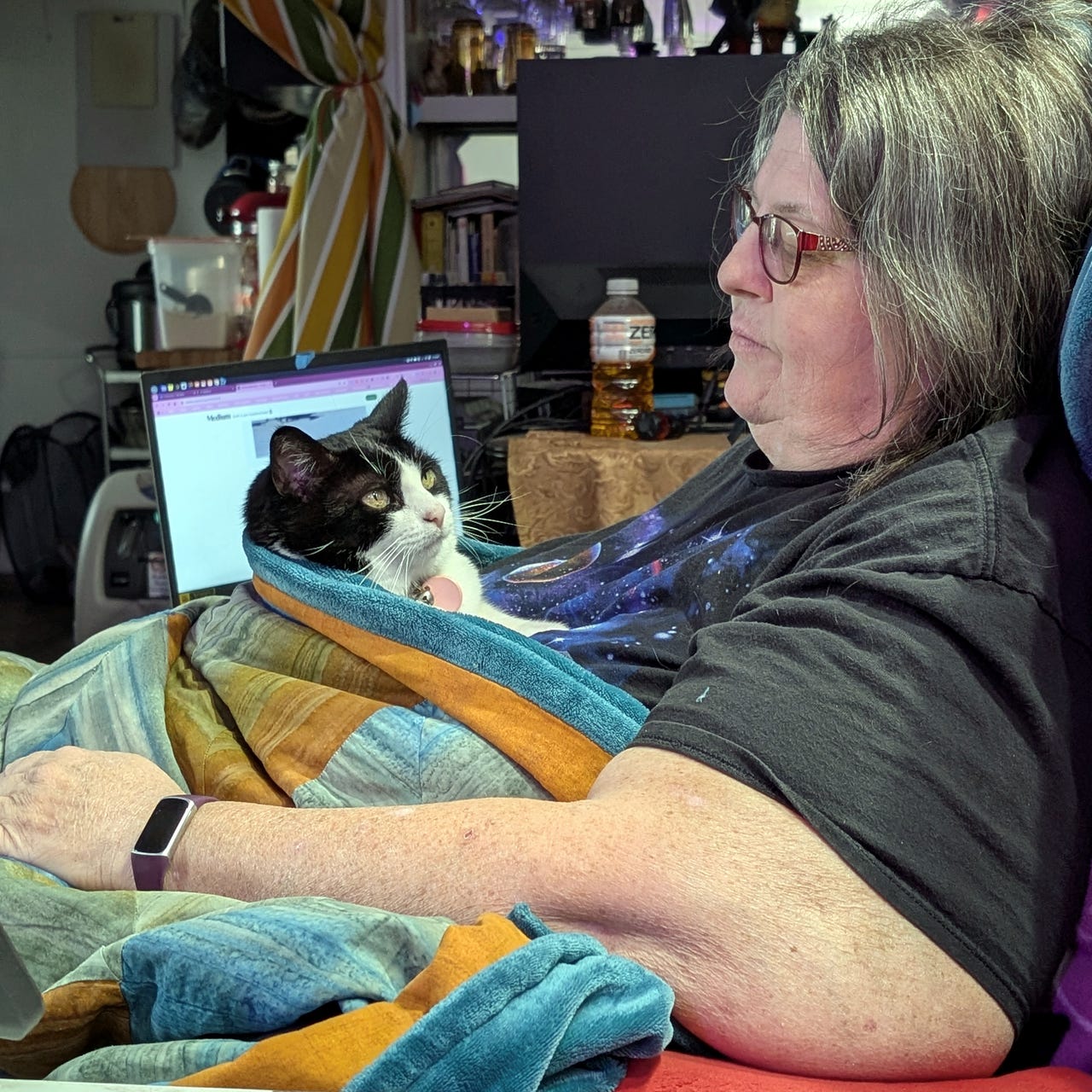 JeanC's Cat House & Shooting Society