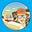 Southcoastsalt's avatar