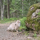 NOPE. Tabs, Thurs., Feb. 1, 2024