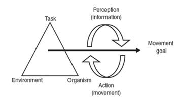 Ecological dynamics