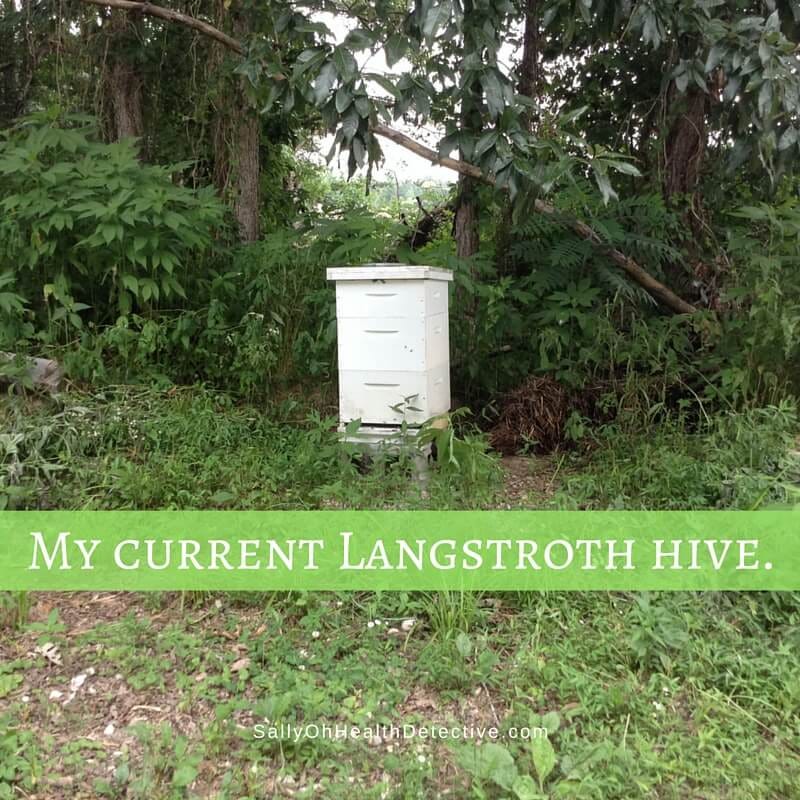 My current Langstroth hive: 2 deeps and a honey super on top My current Langstroth hive: 2 deeps and a honey super on top