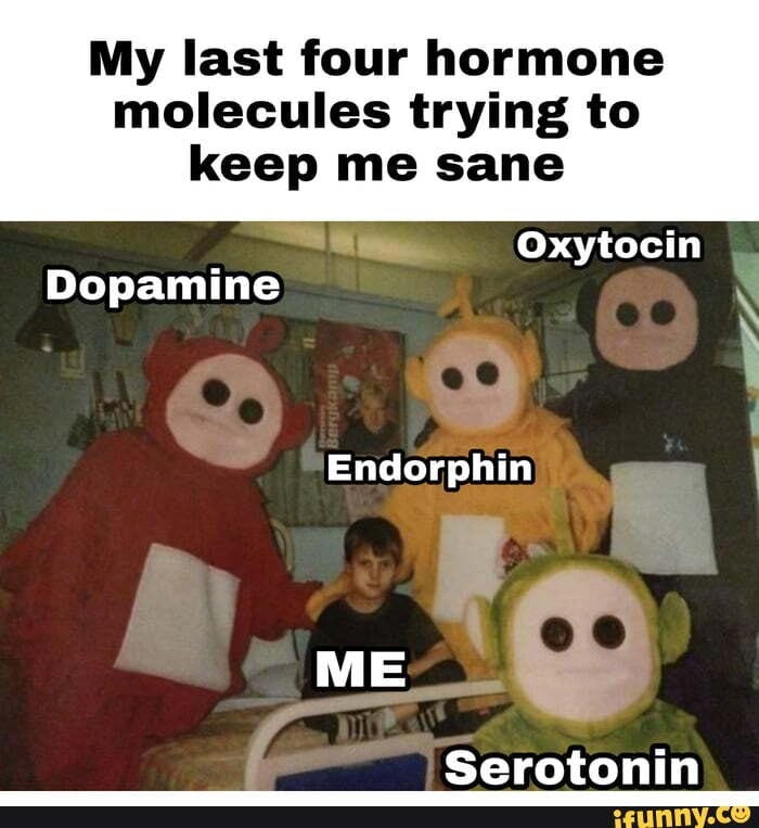 My last four hormone molecules trying to keep me sane Oxytocin Endorphin  Dopamine Serotonin - iFunny Brazil