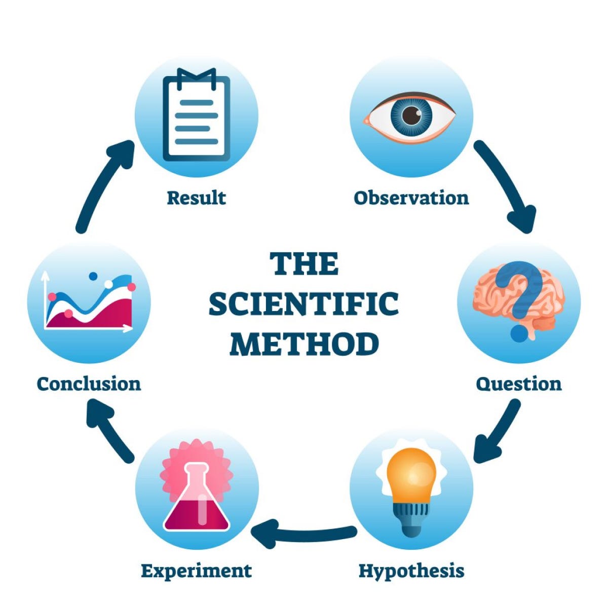 The scientific method 