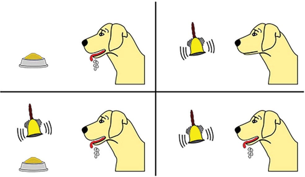 pavlov2 e1698175375621 Pavlov Dogs