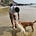 Samaksh Dixit's avatar