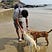 Samaksh Dixit's avatar
