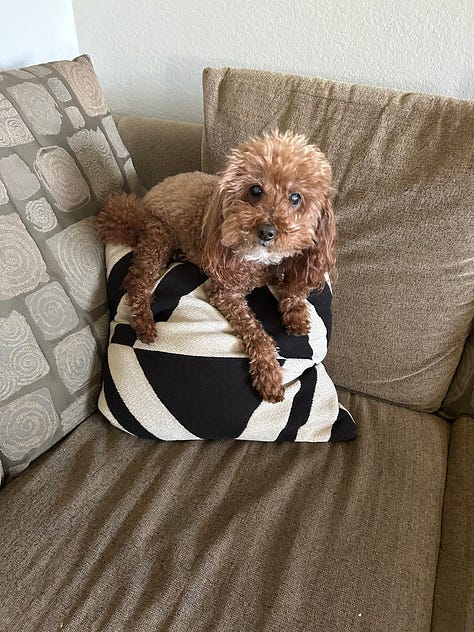Various photos of Humphrey with his family on the couch and in California. 