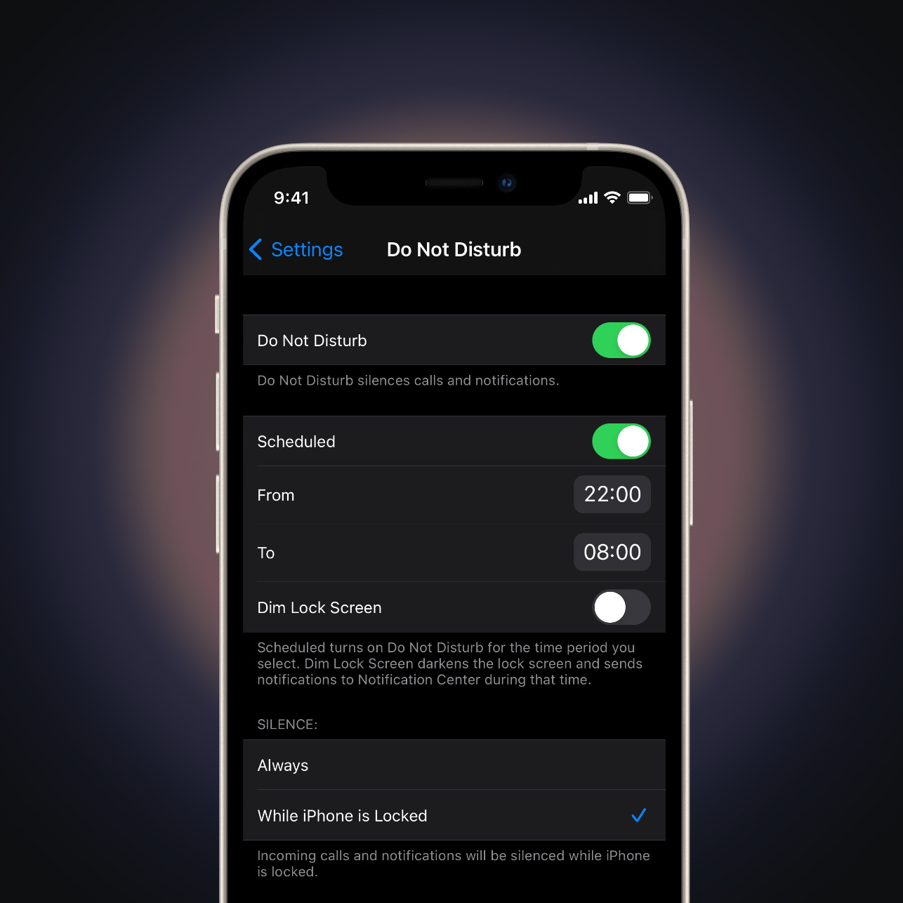 Do Not Disturb — Basic Apple Guy