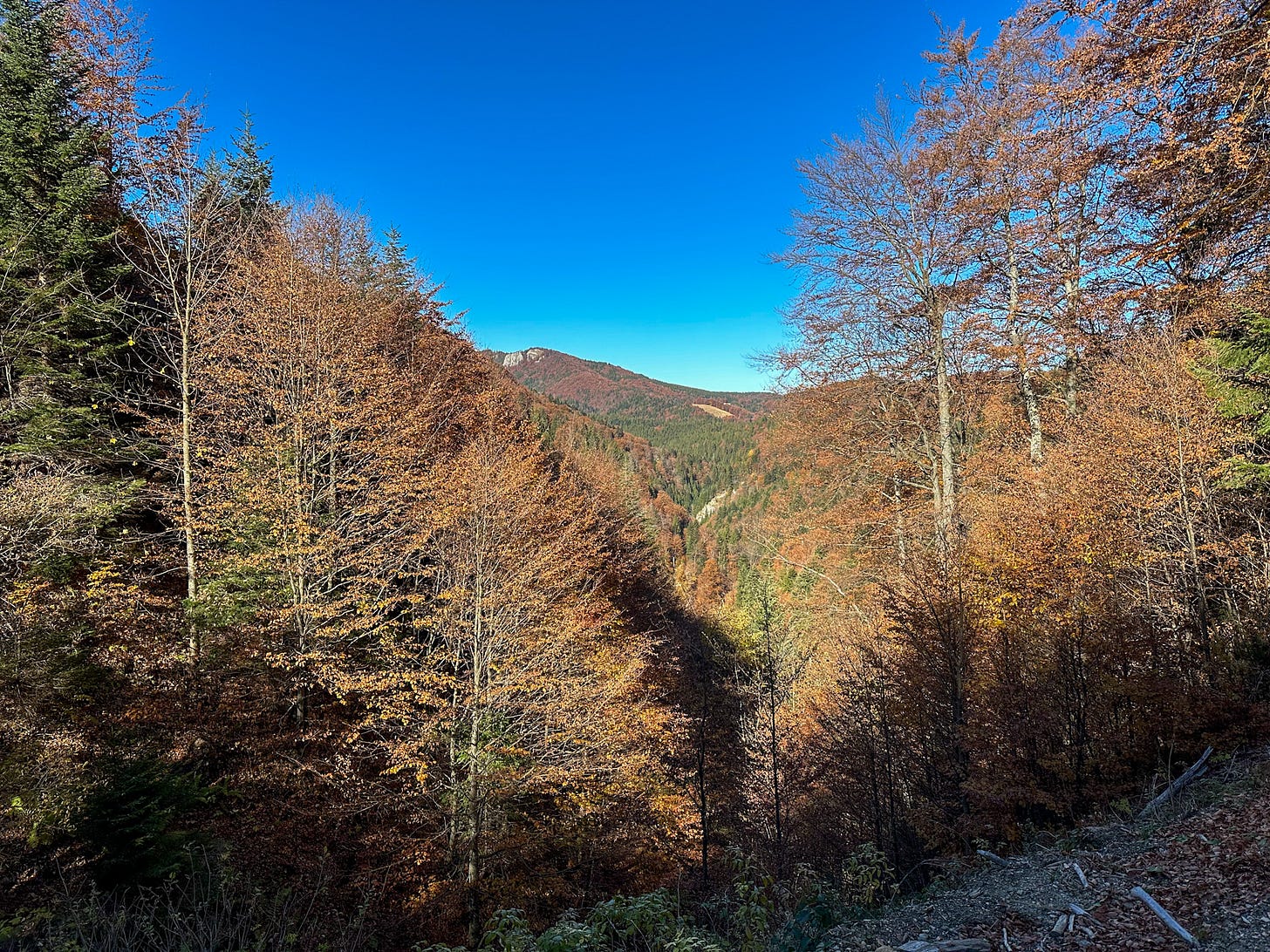 View from the trail