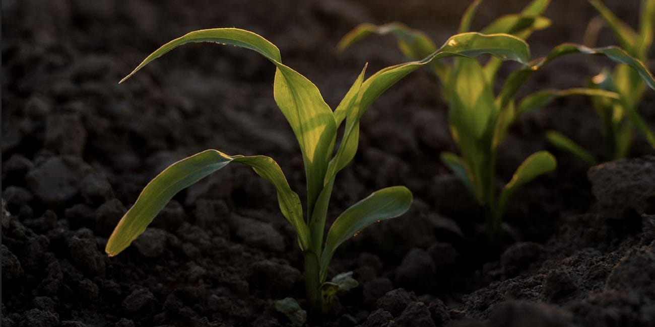 Reformatting Earth: the Biotech Coup