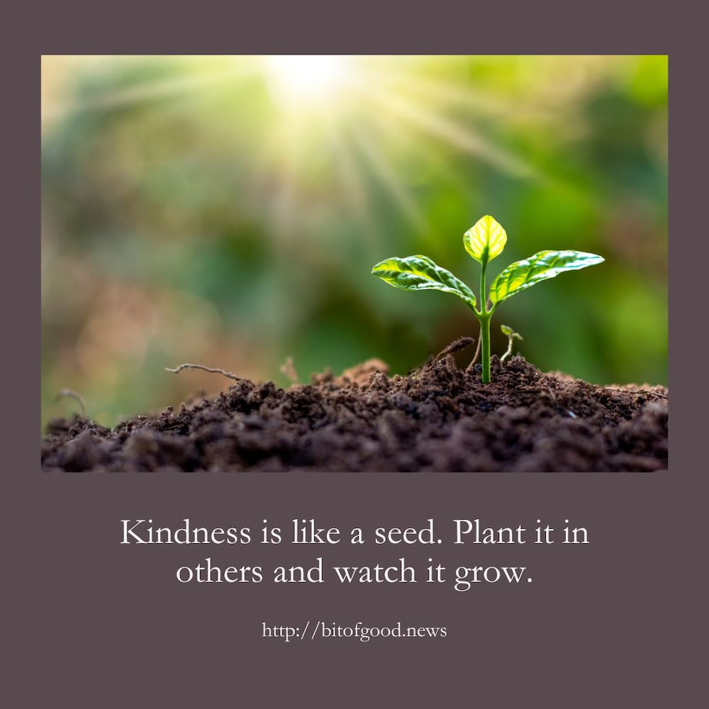 Promo for A Bit of Good News features a baby plant growing out of soil, reaching for the sun, and the words: Kindness is like a seed. Plant it in others and watch it grow.