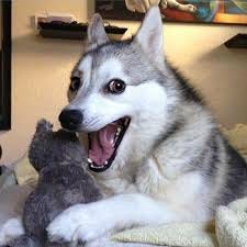 Tell us your favourite library joke . 1 ... Tell us your favourite library joke . 1 ...