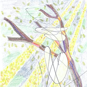 Sugarcane 
