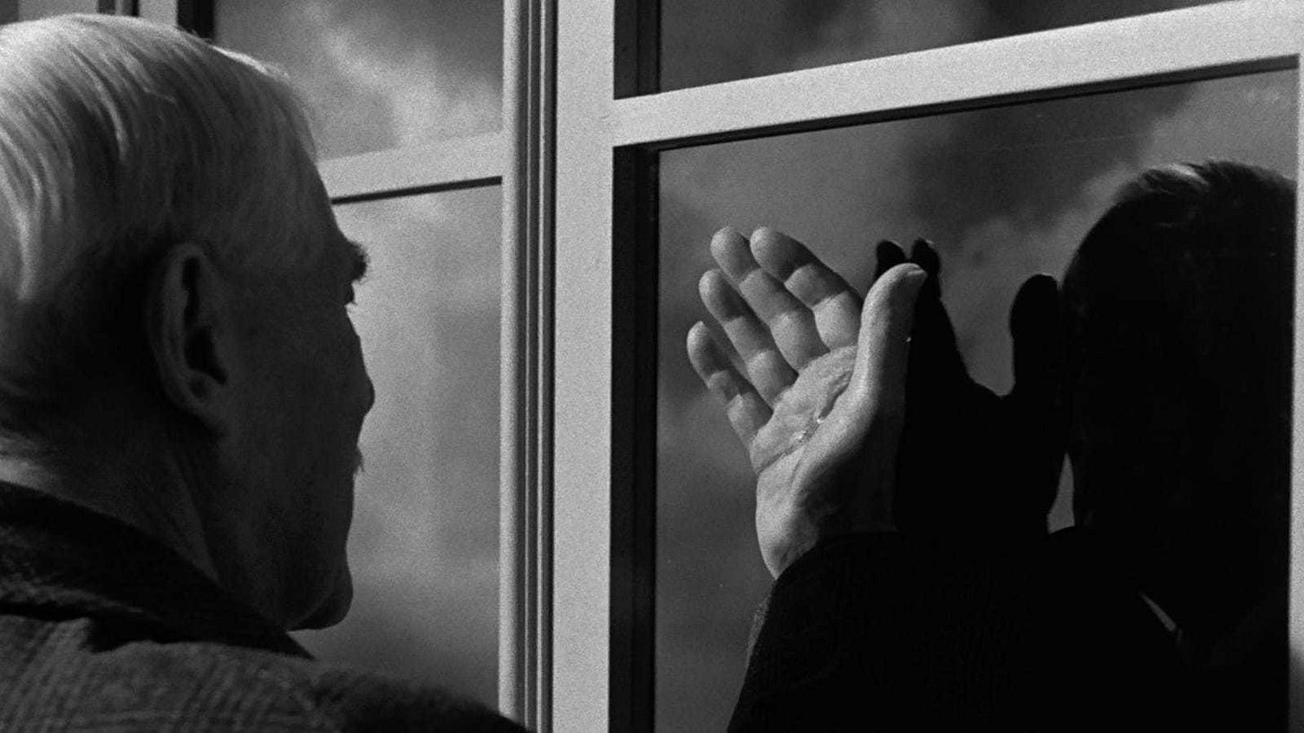 Janus Films — Wild Strawberries